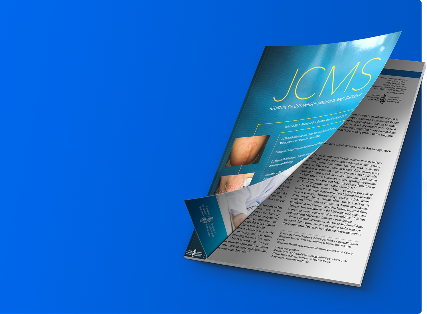 Publication JCMS
